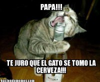 /album/galeria/internet-meme1348867325-jpg/