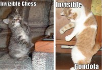 /album/galeria/invisible-lolcats3-jpg/