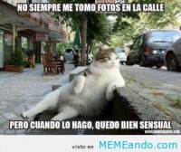 /album/galeria/kmuy66-jpg/