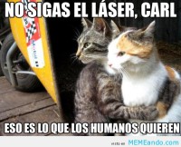 /album/galeria/laisseaigner-jpg/