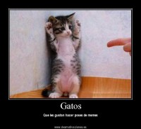 /album/galeria/s-12-jpg/