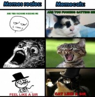 /album/galeria/tumblr-llbi0s5wx11qept0f-jpg/