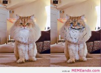 /album/galeria/tumblr-lzk0a2lxv51qb5gkjo1-500-jpg/