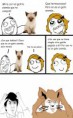 /album/gatomeme/cc-1179451-jackie-chan-no-es-un-gato-siames-jpg/