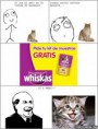 /album/gatomeme/cc-1199573-its-free-comida-de-gatos-jpg/
