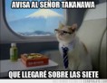 /album/gatomeme/cg-14237-el-gato-empresario-de-camino-a-japon-jpg/