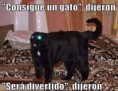 /album/gatomeme/consigue-un-gato-dijeron-sera-divertido-dijeron-jpg/