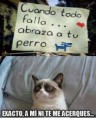 /album/gatomeme/cuando-todo-falla-abraza-a-tu-perro-exacto-grumpy-cat-jpg/