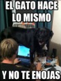 /album/gatomeme/el-gato-jpg/