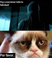 /album/gatomeme/gato-gru-on-meme-jpg/