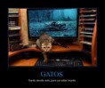 /album/gatomeme/gatos-jpg/