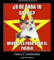 /album/gatomeme/gatos-comunistas-jpg/