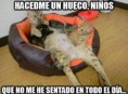 /album/gatomeme/hacedme-un-hueco-ninos-que-no-me-he-sentado-en-todo-el-dia-gata-gatitos-jpg/